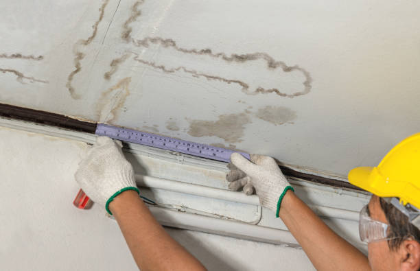 Reliable Water Damage contractor in Williamston, MI by Water Damage Irwin